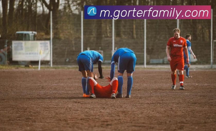 奖项证书